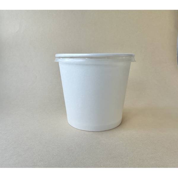 Paper Container